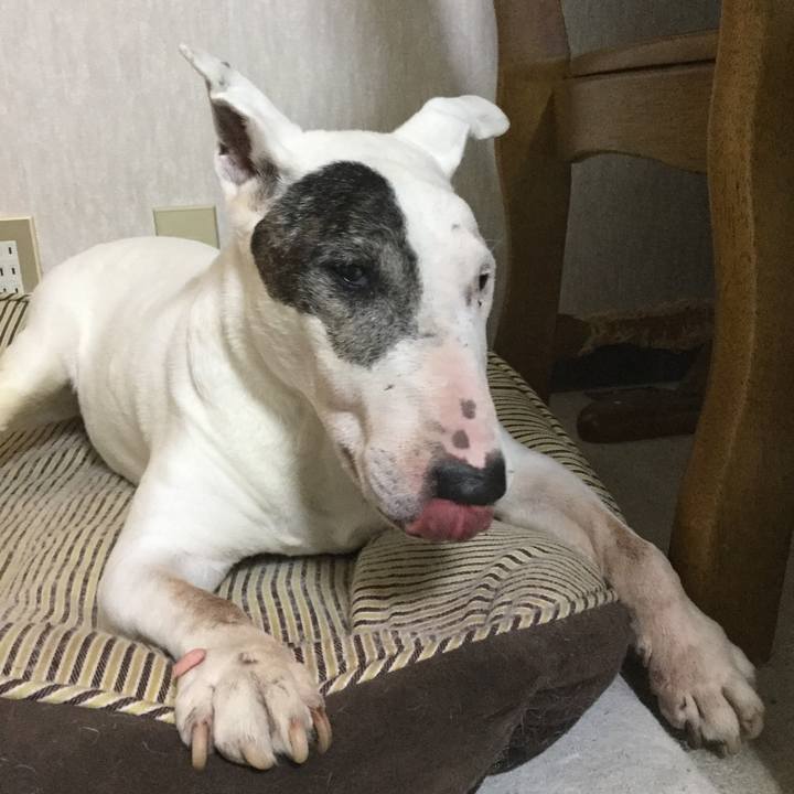 6e31cc4a bcec 4ad0 8f63 2cb1e7be03cc