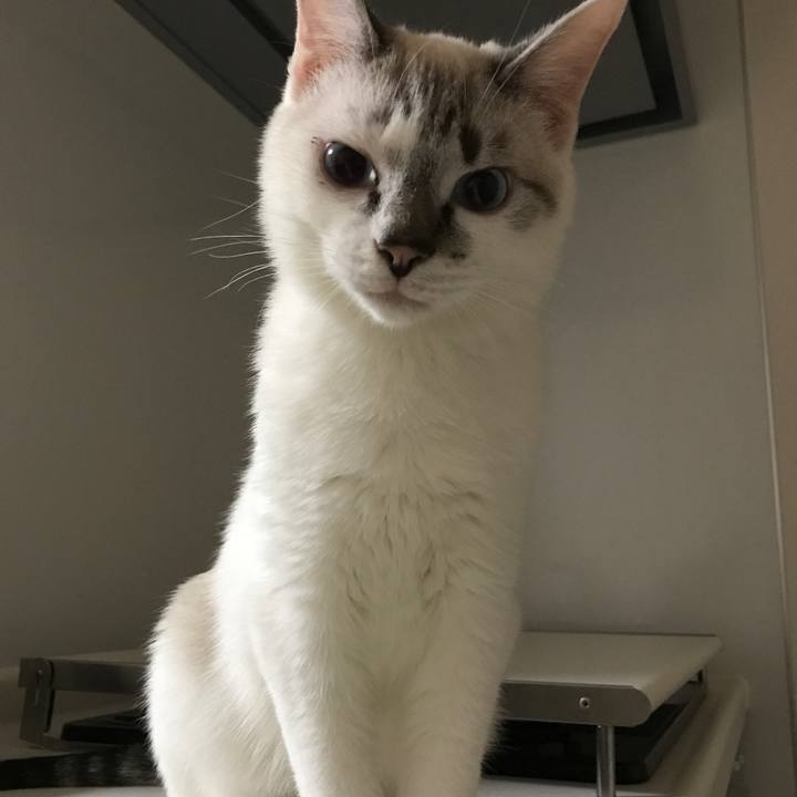 6e31e550 127b 46f2 b823 e7cf959a1c56