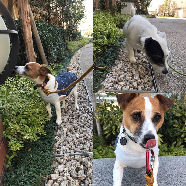 6e322357 0253 4b3a be42 7dc3787a1887