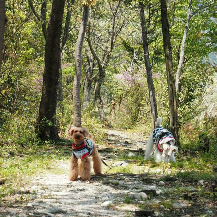 6e33460b d195 4e97 b6a9 5e495c5aea36