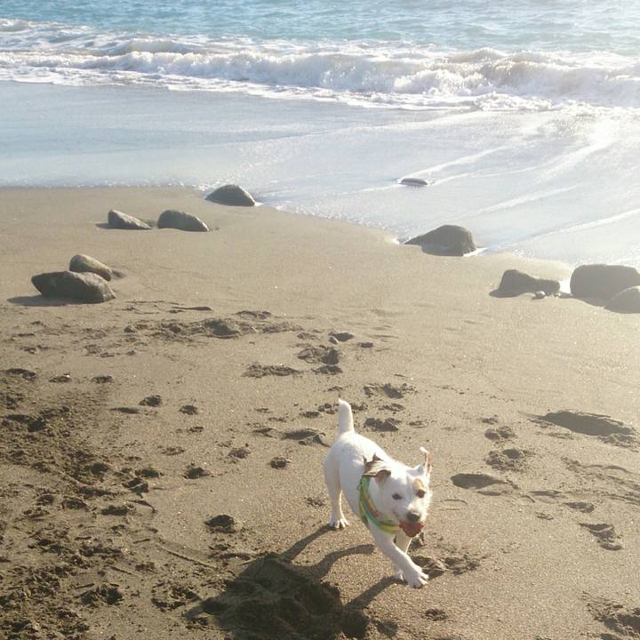 6e335381 f9a4 4287 9eb8 b9e86b47fbe3