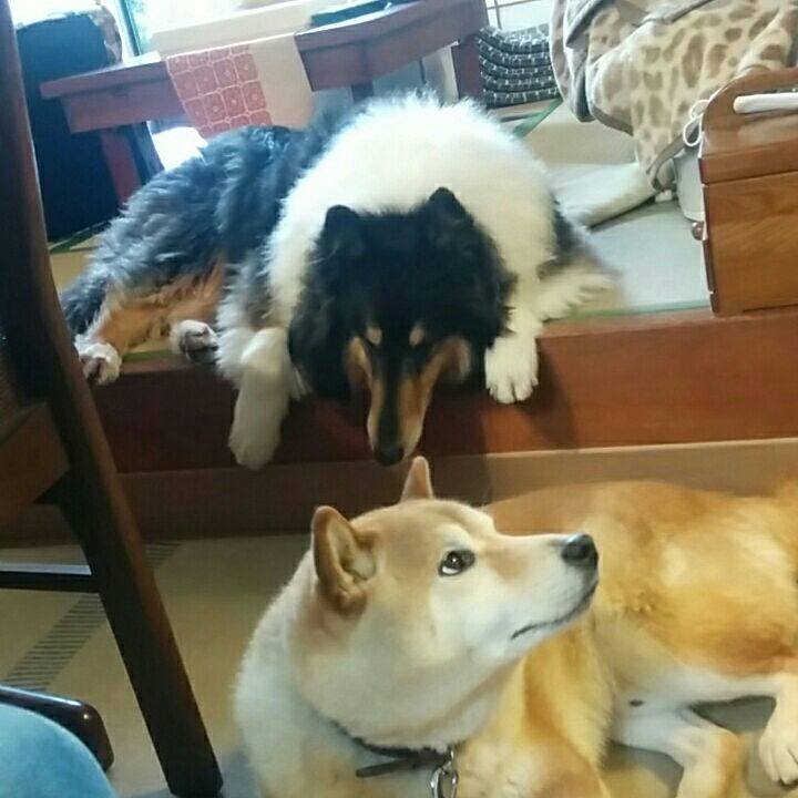 6e348141 f236 4c3b aa5f 3e1fe2380447