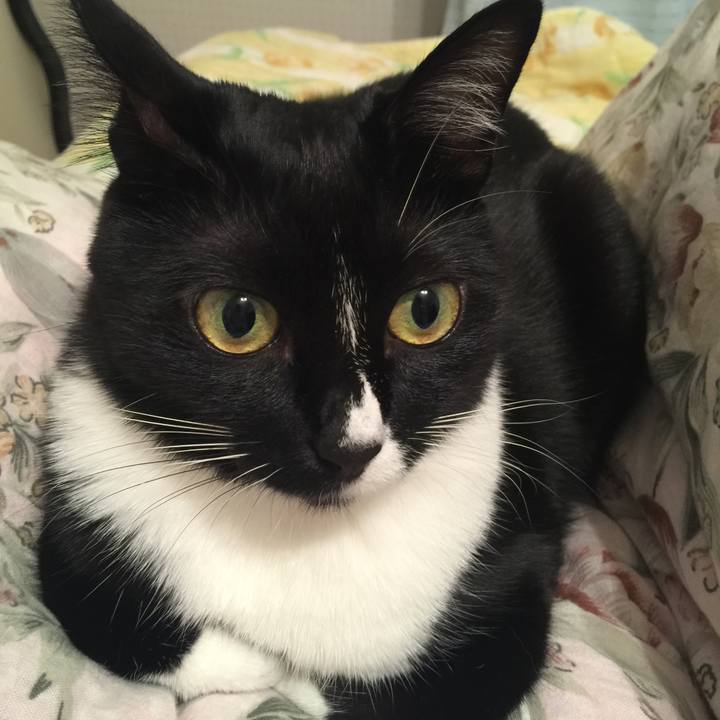 6e349152 4c21 4827 ae9a f887833d66ee