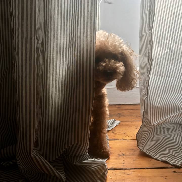 6e34968f d223 4e59 b667 f3ca8e5c70d5