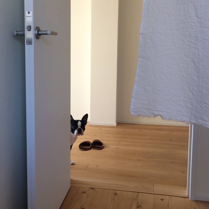 6e34ba72 59a1 43b4 87c3 eee2451d62b6