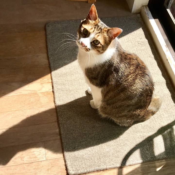 6e34dbfa bd38 4121 9a78 e8f0bf8d32af