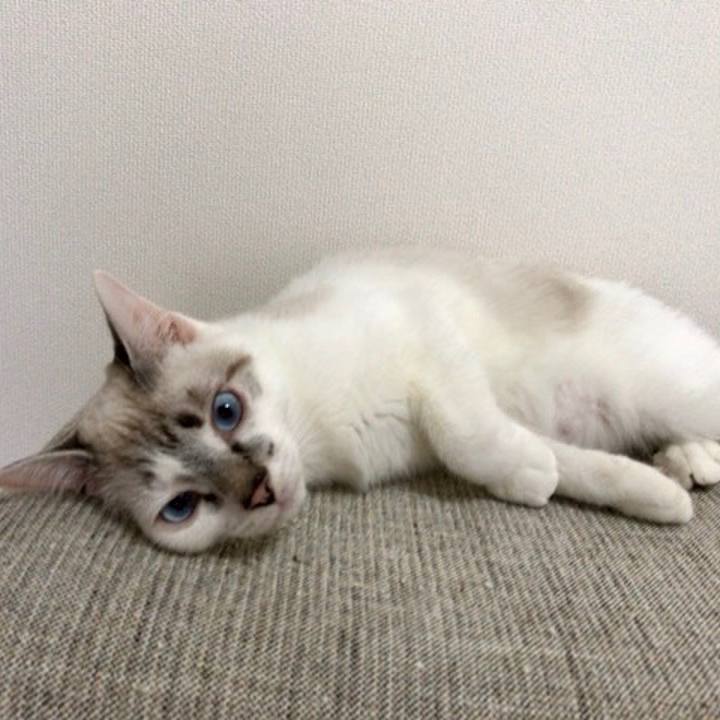 6e35b2fe 7f13 4958 b27d 5e4fd34a3f44