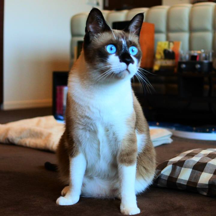 6e3727ab c55e 409d b8dd dc9fdd7a65f0