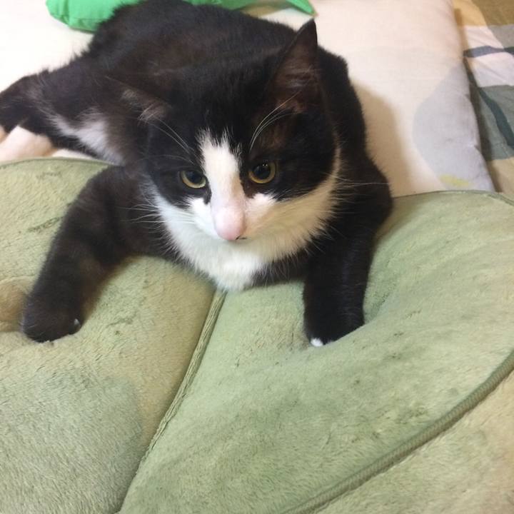 6e3731c3 3e25 4896 b1ff f44008799901