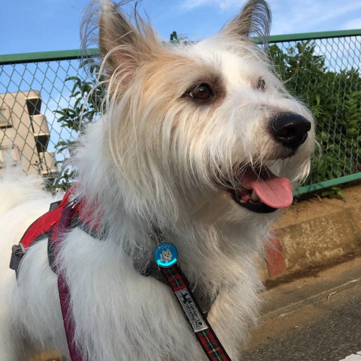 6e376f06 badf 44ce 80f2 b3734cc8ae83