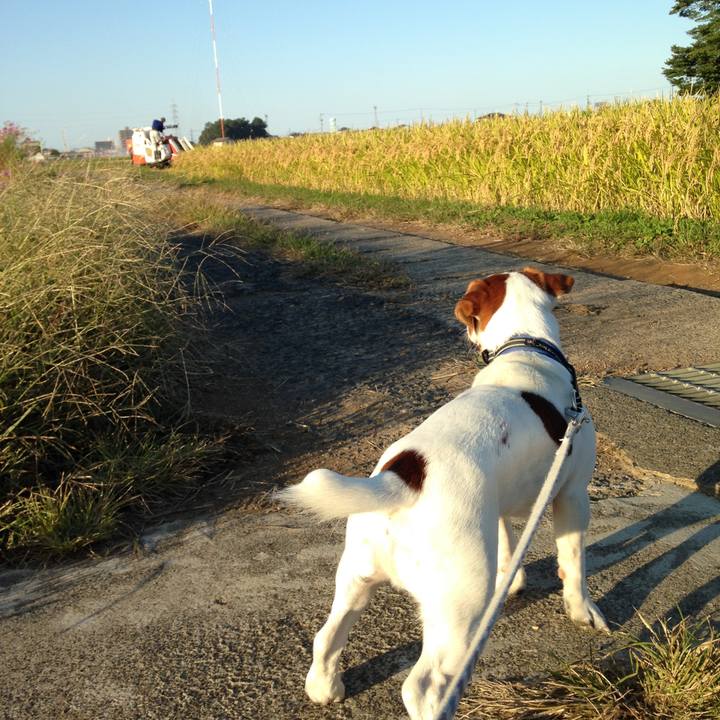 6e37e3a5 8a9c 4748 ae40 210f17c0e1c7