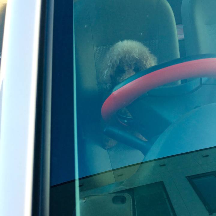 6e3972a2 1540 4e81 9151 09a12cbb9a95