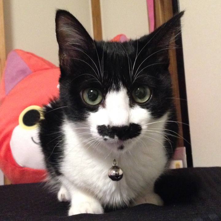 6e397cc1 4274 42e4 a60e dee8caf573df