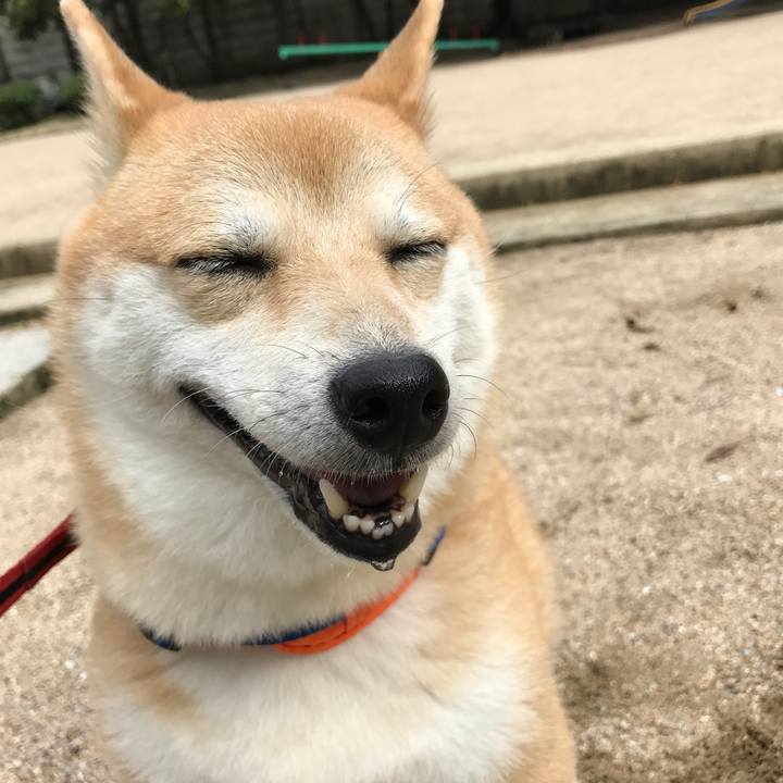 6e39cba8 e874 415c af94 17c13a111cb2