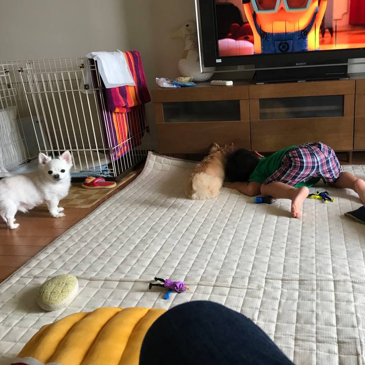 6e39f734 f090 4d32 856f 4d321f95efda