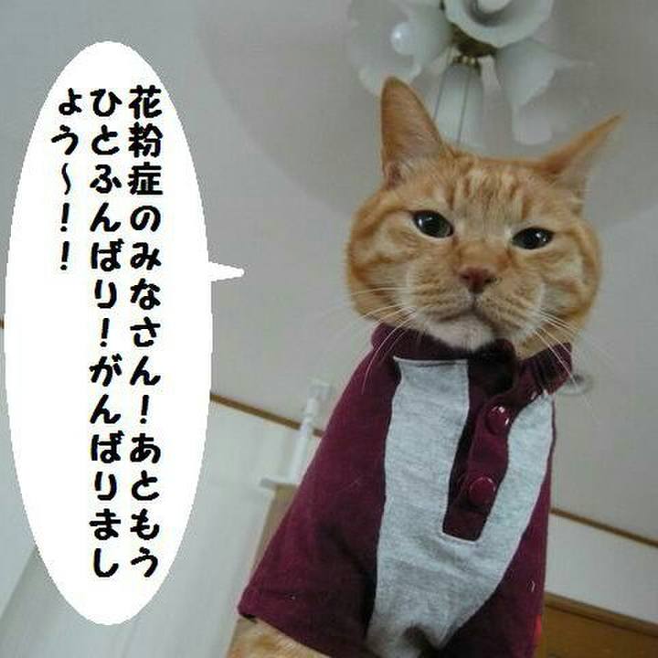 6e3a80bc 30f9 4b34 bce2 eab878d57418