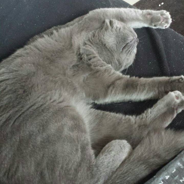 6e3abc6c 002b 4cbb 8d76 74d3abbe4119