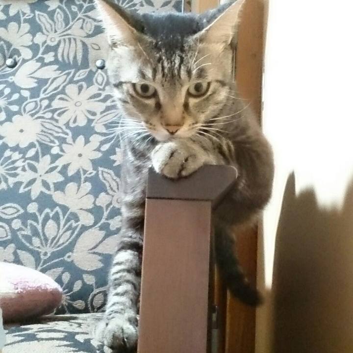 6e3b0383 3c95 48b5 ac8f f3118c4b4440