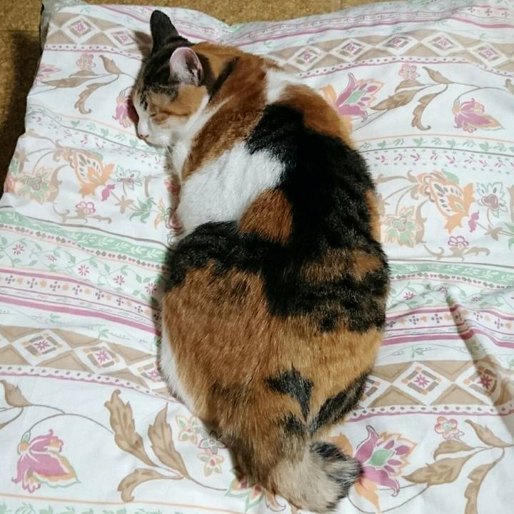 6e3b6211 7282 4896 993b 003e8b77b2a7