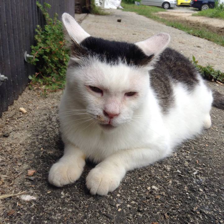 6e3b67e0 55b5 4b09 96dd b14b9e65d86f