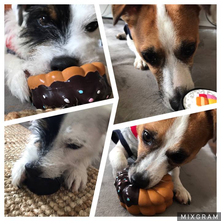 6e3bb8c8 2e73 4b8e bfac c4e383f48e50