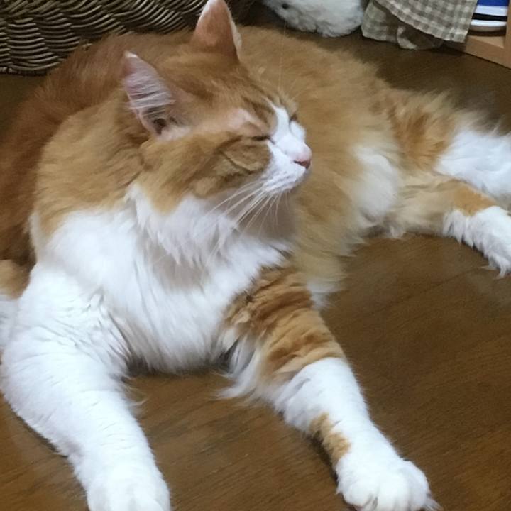 6e3c80a4 3d23 437b 8bc1 4e63de3d8adb