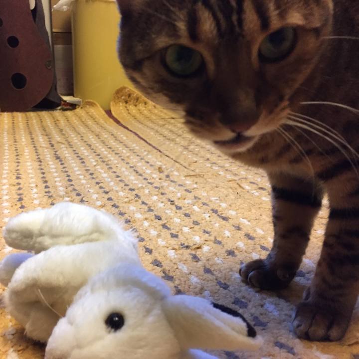 6e3cbd7c c477 464a a153 809bffe84f8c