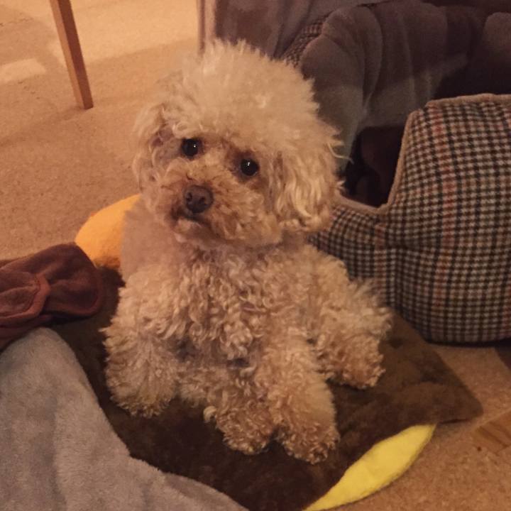 6e3d09ba a16d 45e9 a4c3 e180549948ea