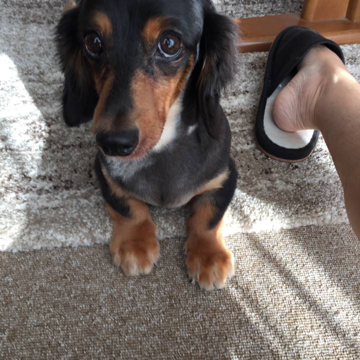 6e3d457e f679 4e2b a9d0 a98715baf6a5