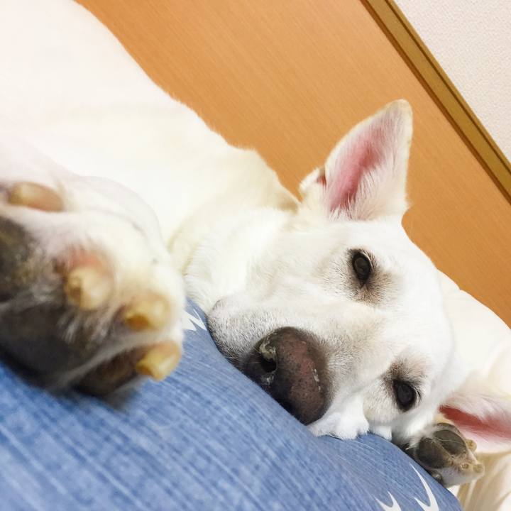 6e3d805c 0d8f 4232 9d5c 703051bf834d