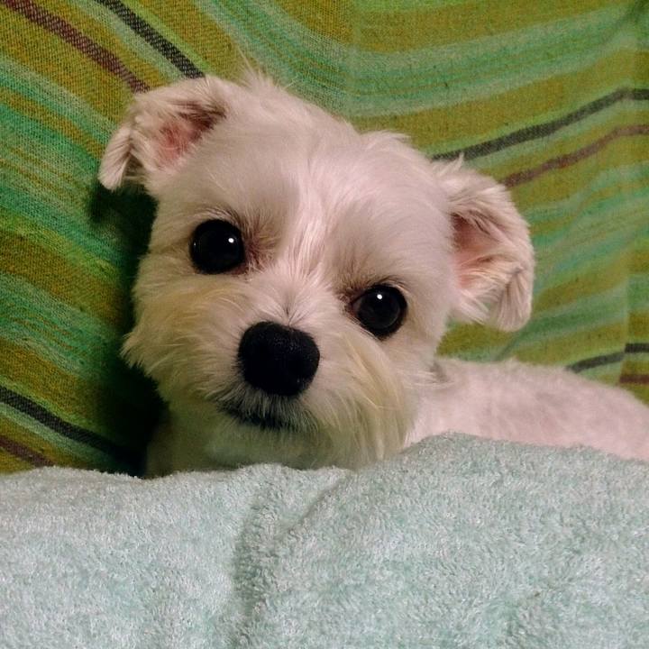 6e3e1116 5683 4ddf a891 3783822e5e3e