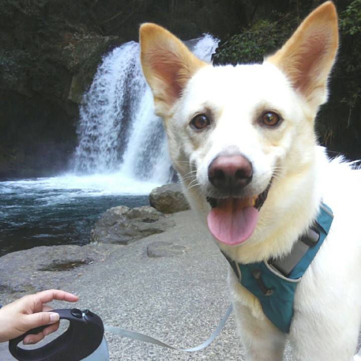 6e3e6964 2234 4419 a0c5 3d5bbd7599c7