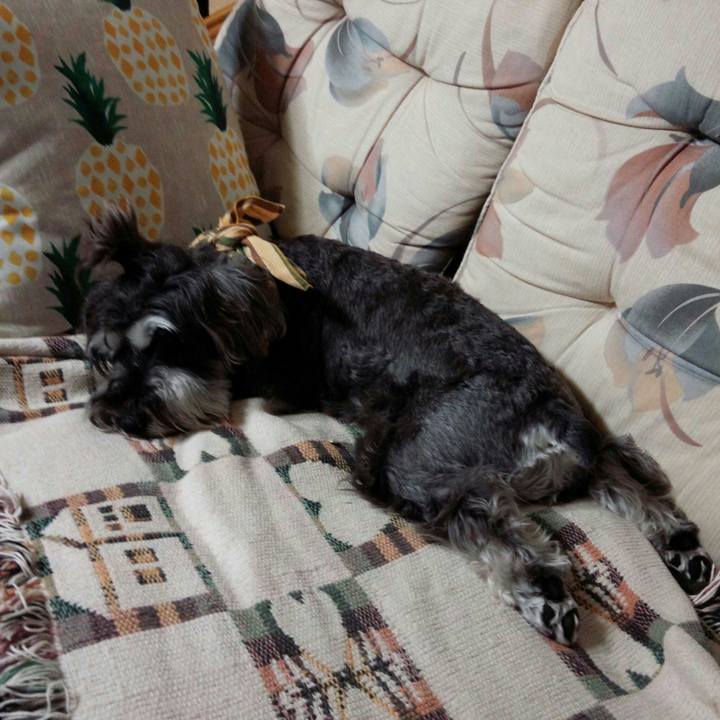 6e3e96af 5d07 4281 9ba6 606092ae6647