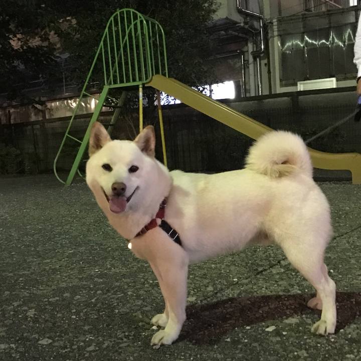 6e3ebef1 8520 46a7 9da9 0e2b43807536