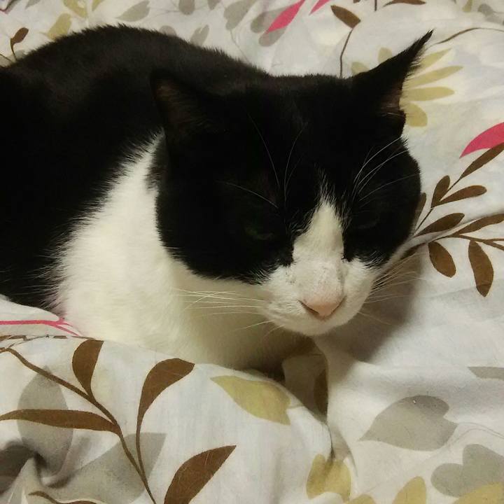 6e3ebffe 3c23 487d a8a4 9c44803622a3