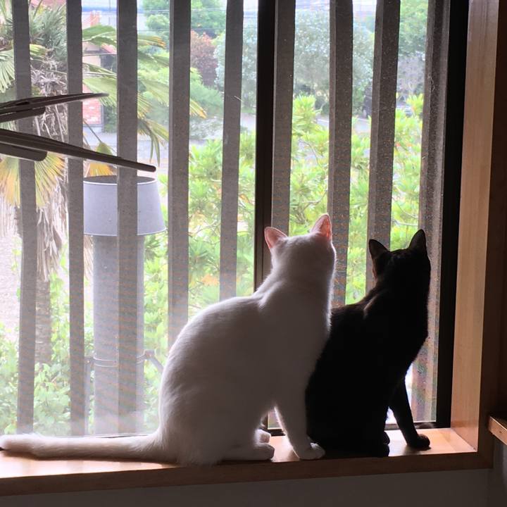 6e3f084e 7721 4585 9ced eb9f72571611