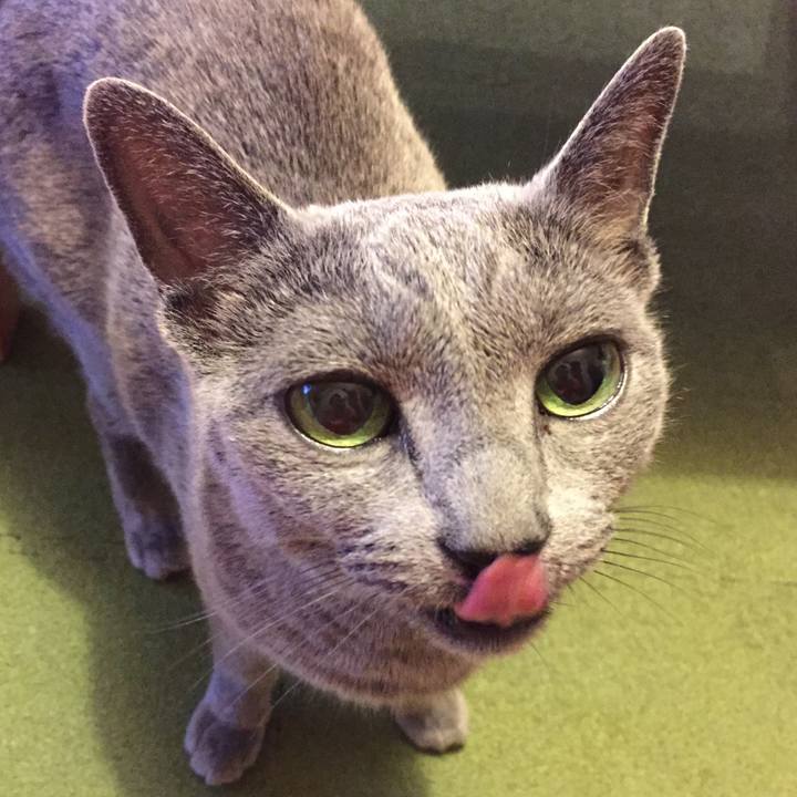 6e3f5056 61a9 424a b128 d09de6362f02