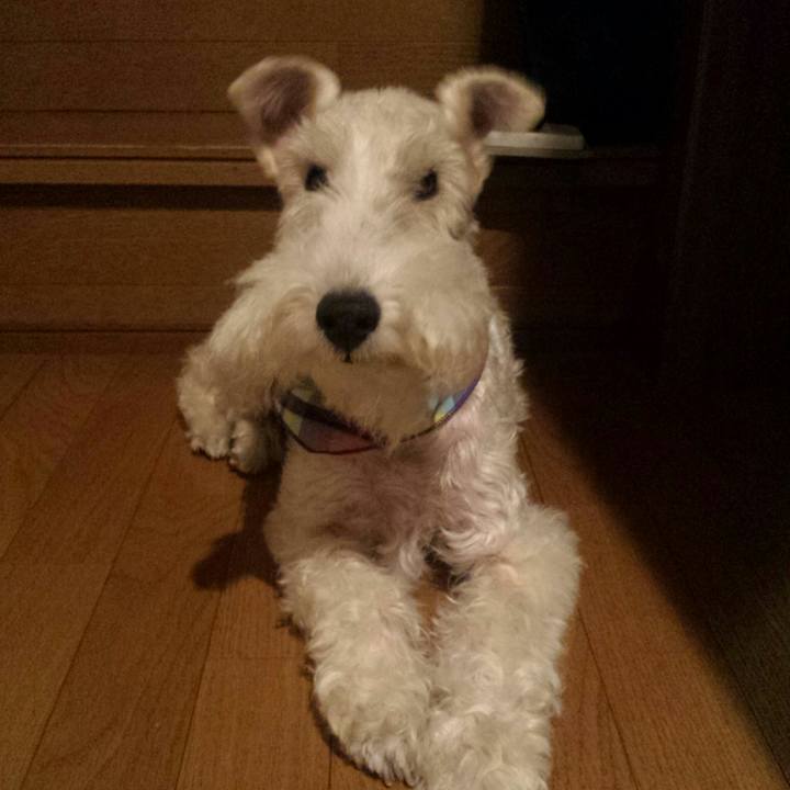 6e3f9427 e9cb 4132 9204 41c5b7269fd8