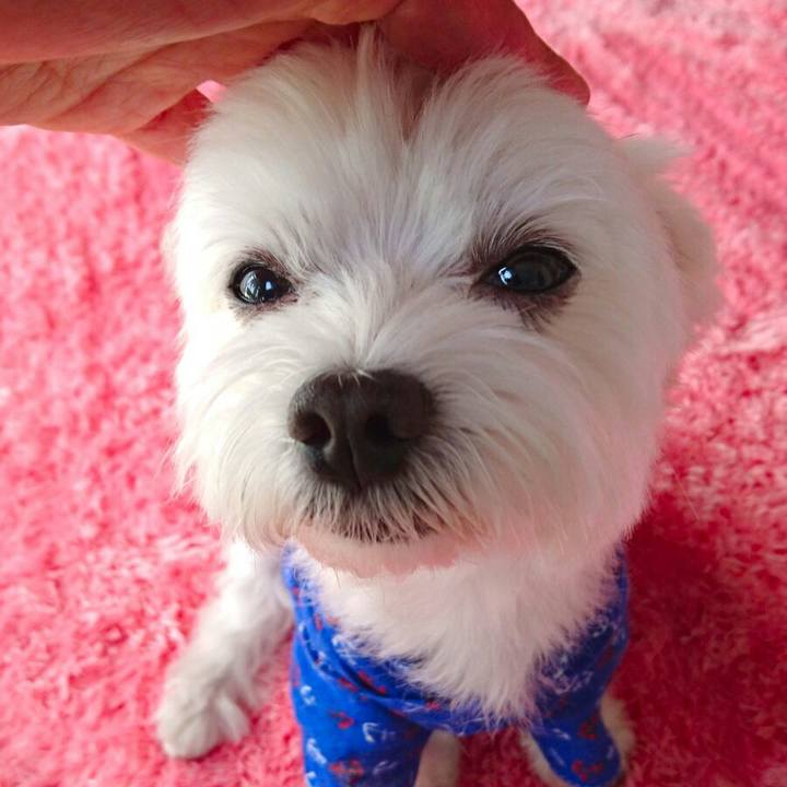 6e3fbe72 9e4b 4151 8103 b1b90b937b6b