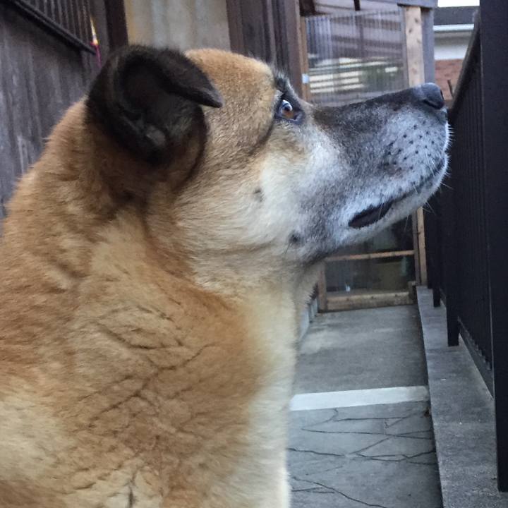 6e400f8f f30d 402b 9500 f2702e245483