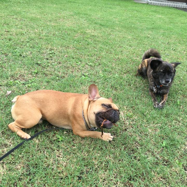 6e403da4 fb8a 4a55 96cd fb29c0354aa3