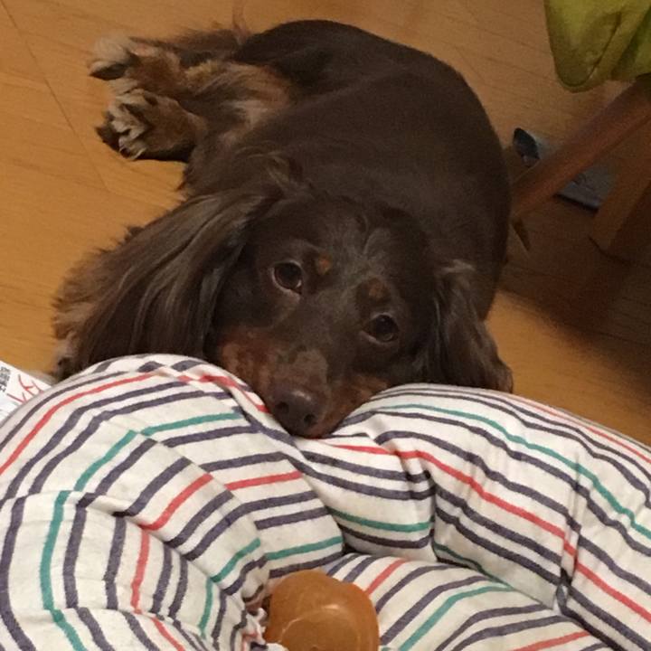 6e419221 0d01 4994 9d8d f3e384fbf70b