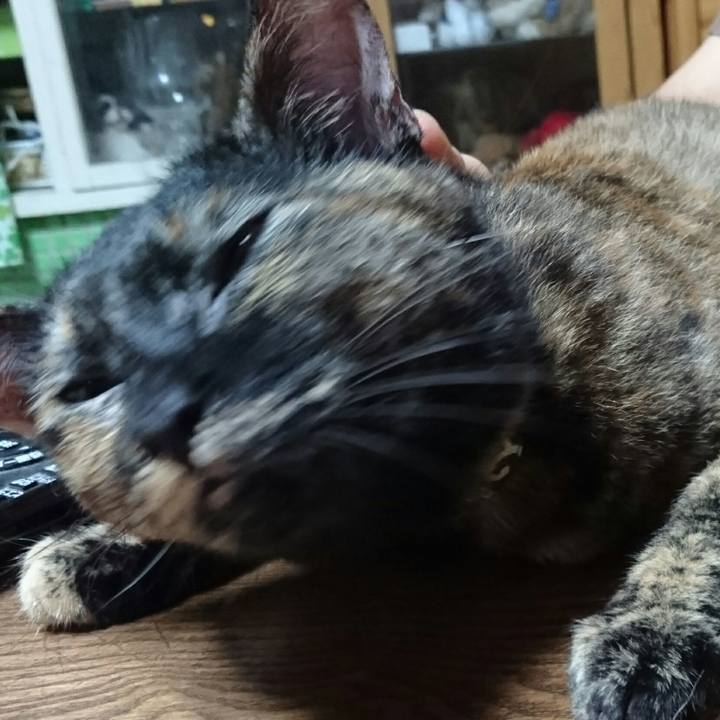 6e41dac9 df31 4d59 9042 72b92676708f