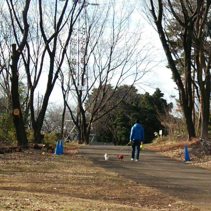 6e42719e 5434 4de9 b3a6 a317bc71f179