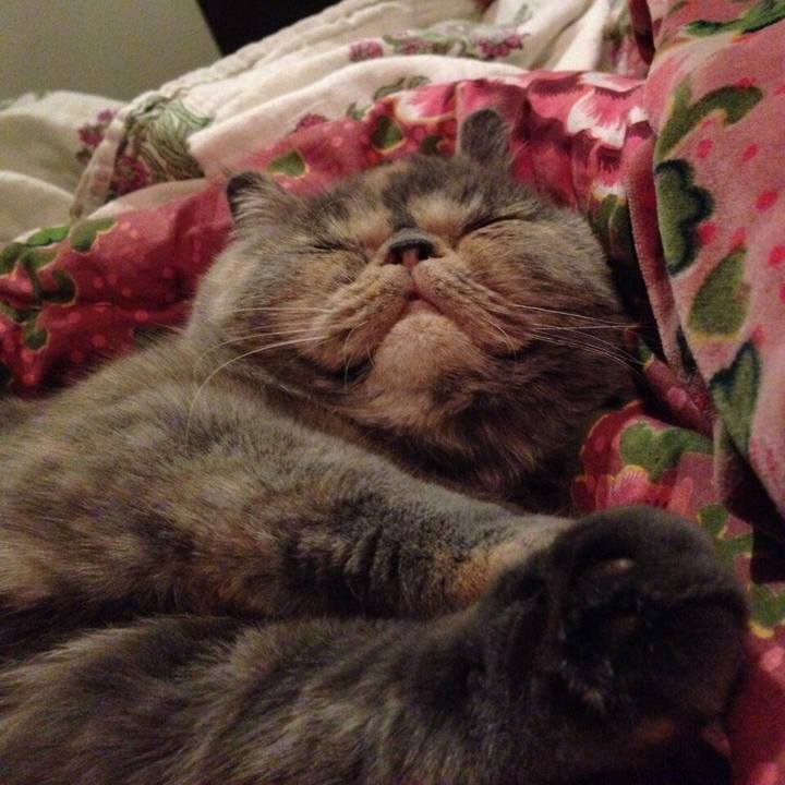 6e42a586 3c50 42b4 8359 33d6695b50ba