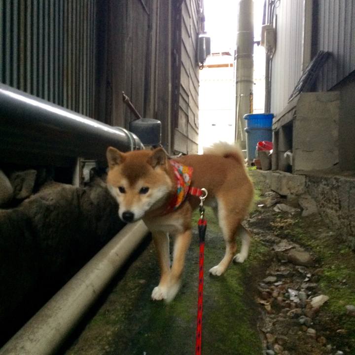 6e42dfe3 8eb0 4db0 a3f5 5f84819b8c4d