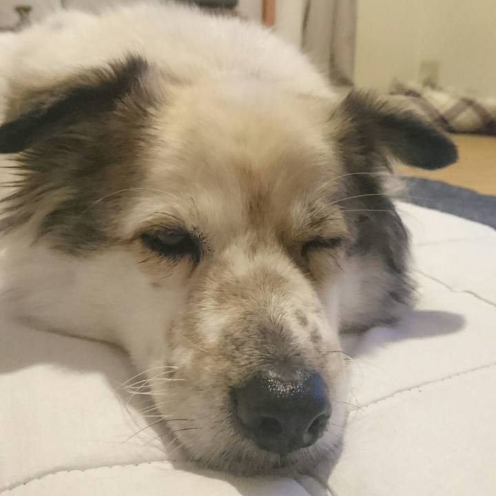 6e42ef48 09cd 473c 9197 d8eb80211cba