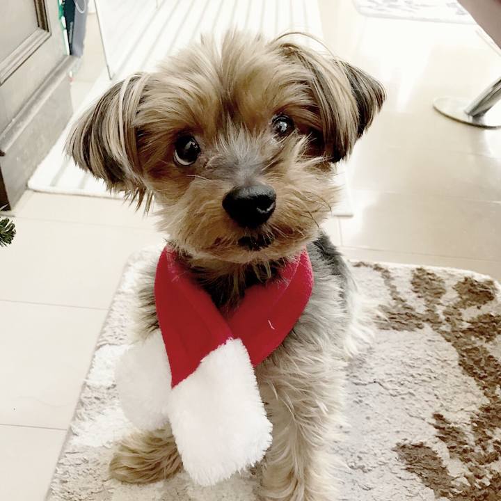 6e432969 47a3 46fc bad0 2d1f4bead46f