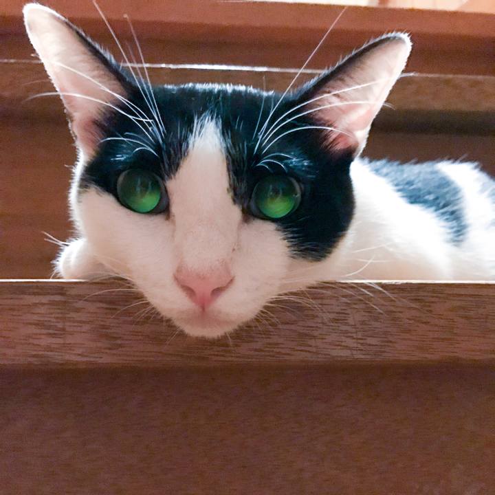 6e43cb1f 9753 4f5e aa71 b90b17288369