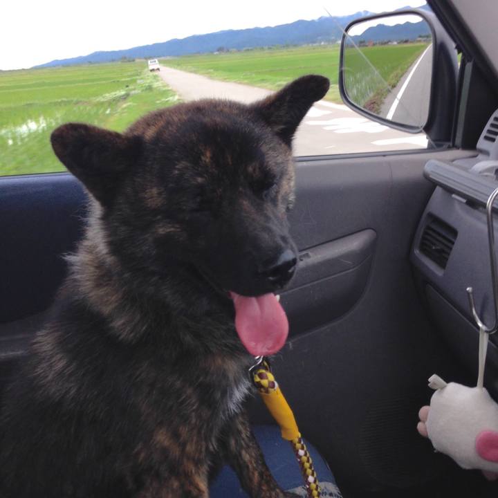 6e444ccd be1a 49c4 8b4d df02680ede66